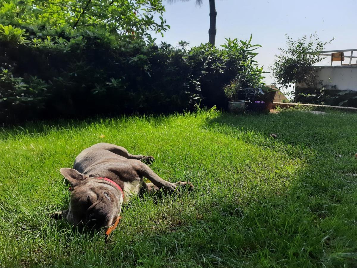 Apartmán Manzaraada Tepe Heybeliada Exteriér fotografie